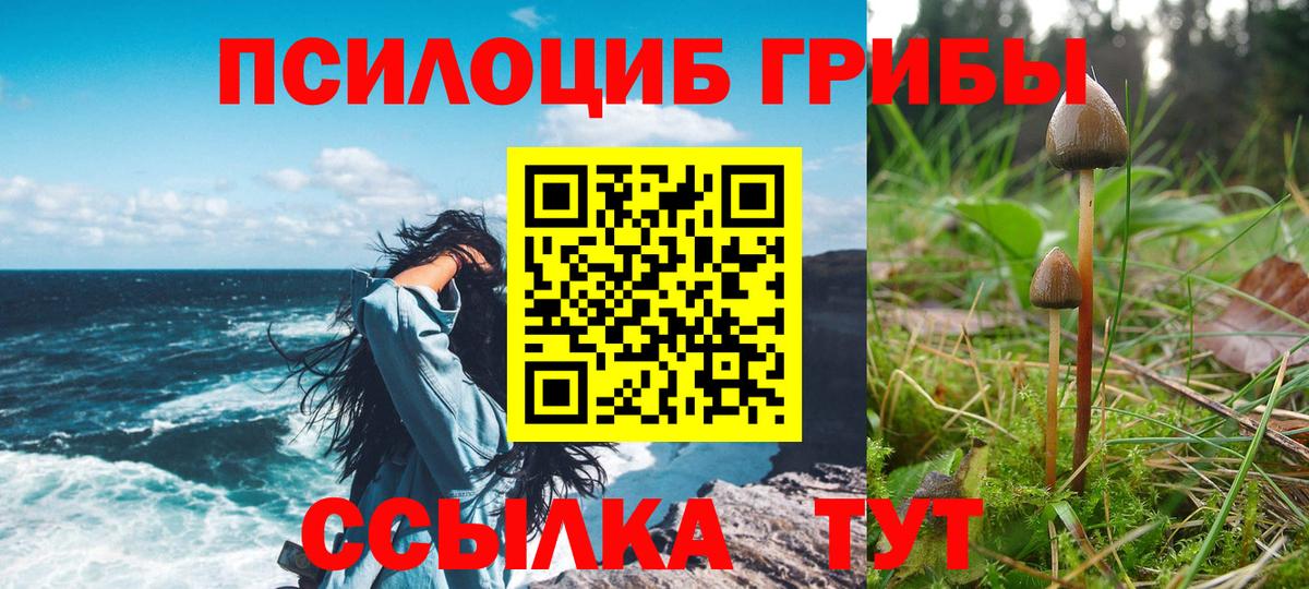 Асбест  Псилоцибиновые грибы ЛСД  Вход с VPN 