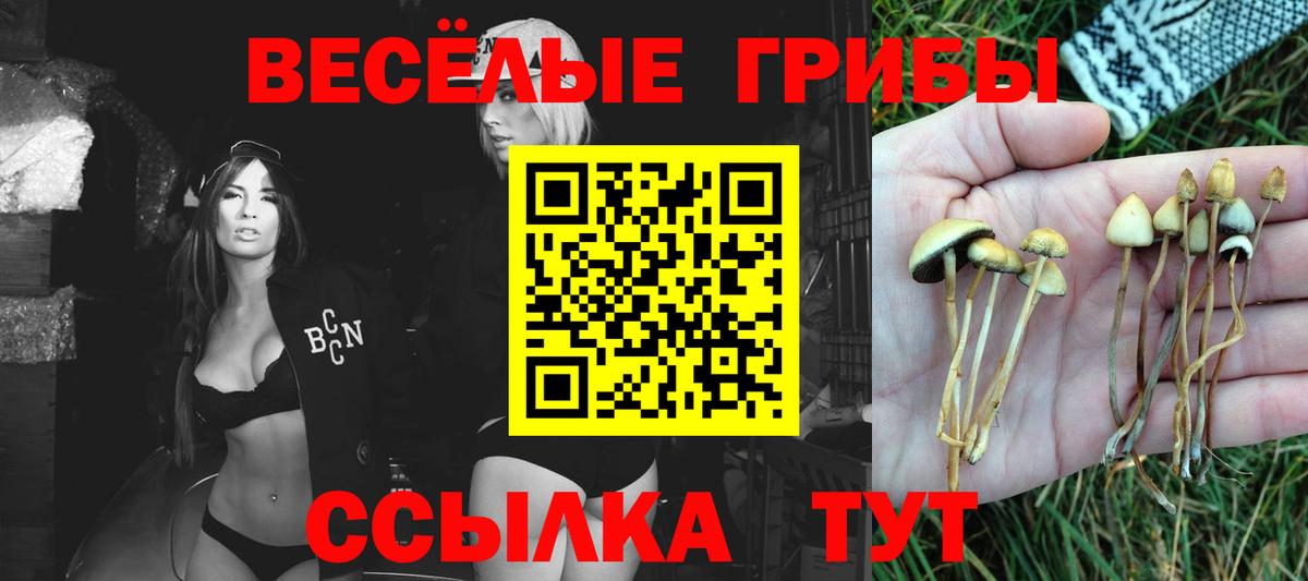 Галлюциногенные грибы прущие грибы Асбест